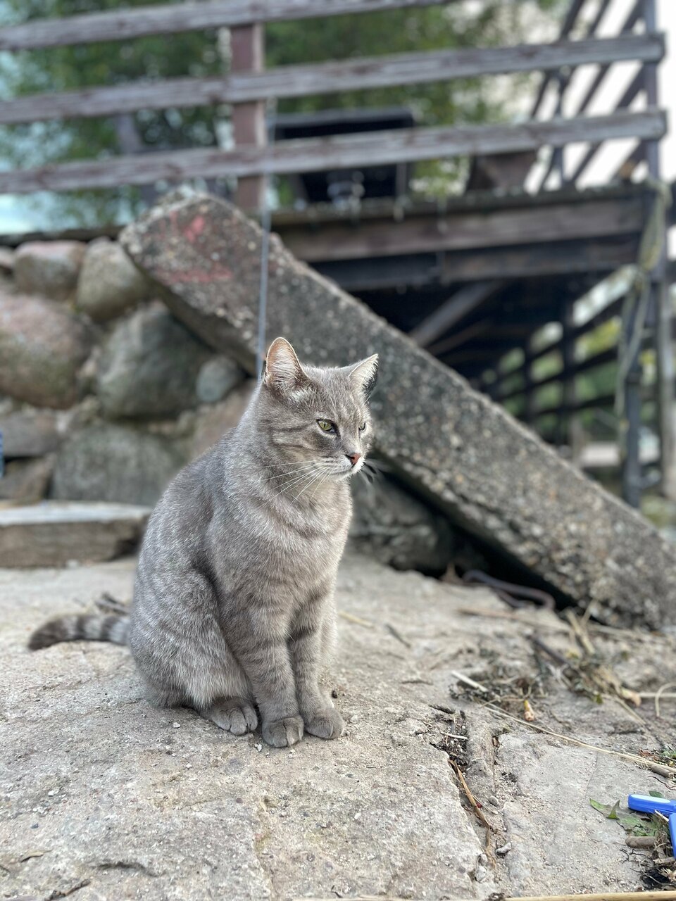 Гостиница Домики у Пляжа Осташков-104