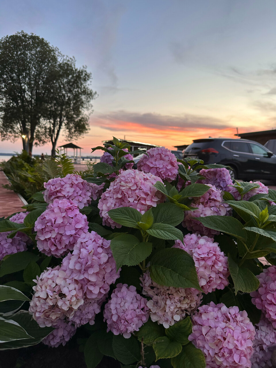 Гостиница Домики у Пляжа Осташков-250