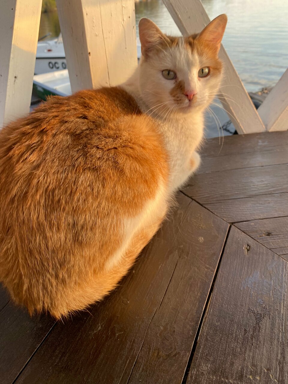 Гостиница Домики у Пляжа Осташков-180