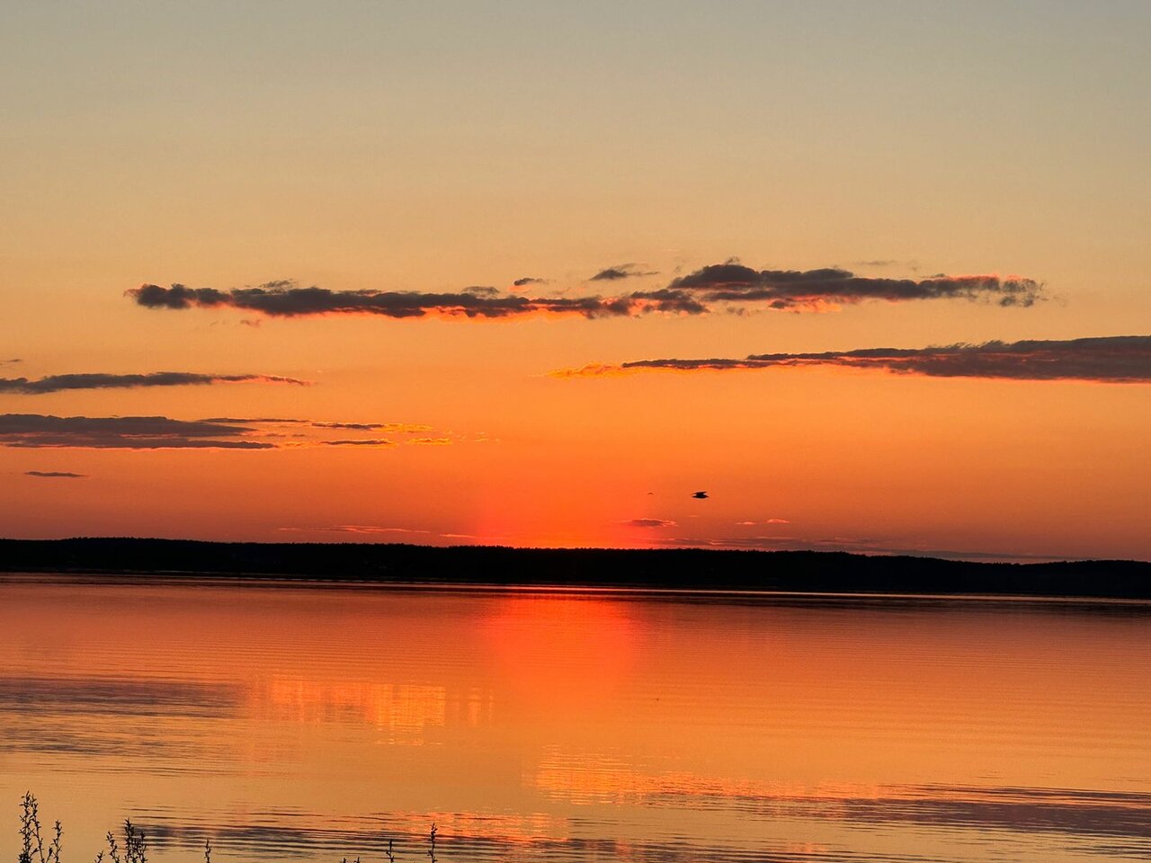 Гостиница Домики у Пляжа Осташков-114