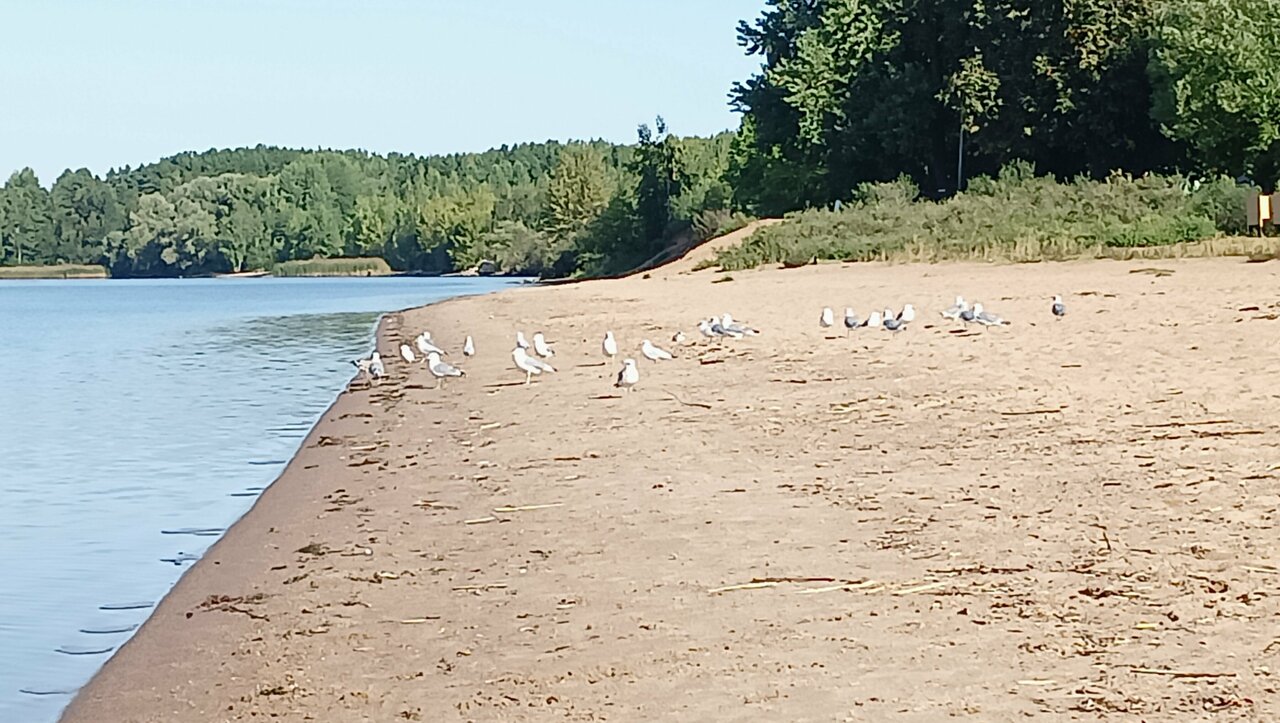Гостиница Домики у Пляжа Осташков-143