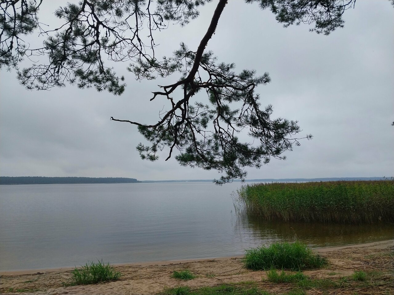 Гостиница Домики у Пляжа Осташков-148