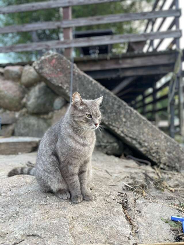 Гостиница Домики у Пляжа Осташков-103