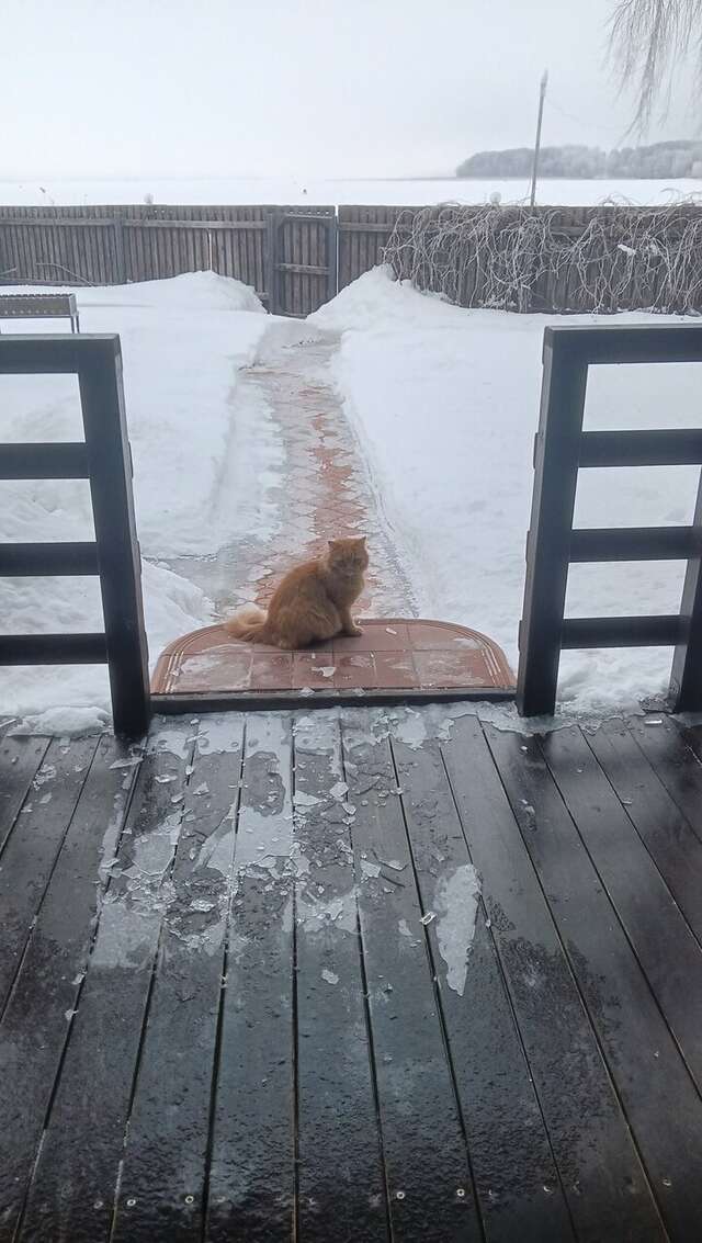 Гостиница Домики у Пляжа Осташков-174