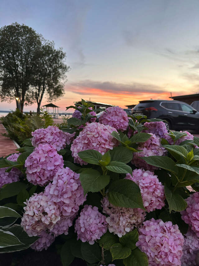 Гостиница Домики у Пляжа Осташков-249