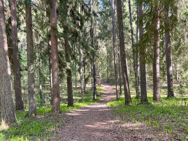 Гостиница Домики у Пляжа Осташков-72