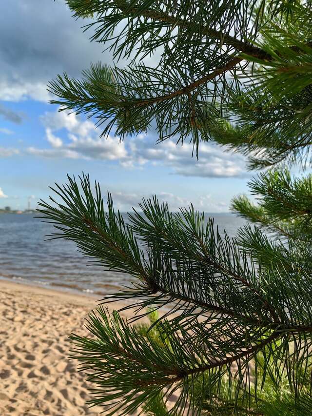 Гостиница Домики у Пляжа Осташков-150