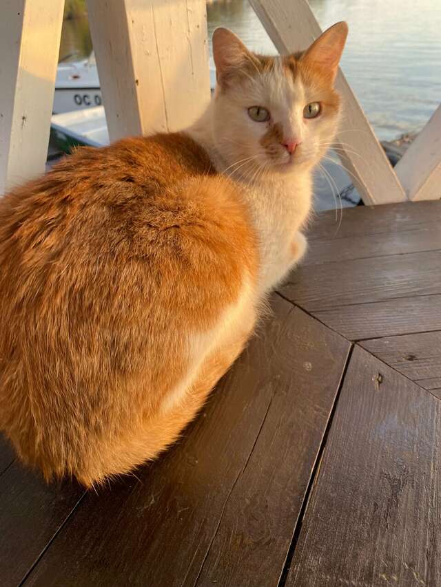 Гостиница Домики у Пляжа Осташков-179