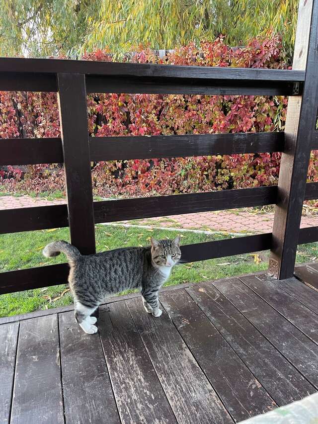Гостиница Домики у Пляжа Осташков-63