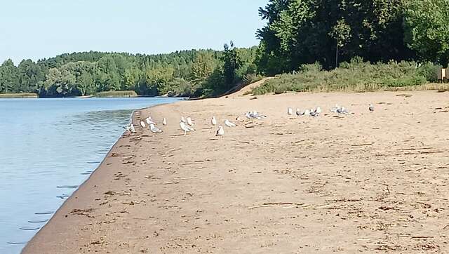 Гостиница Домики у Пляжа Осташков-142