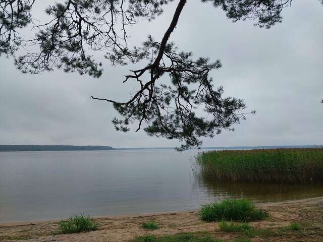 Гостиница Домики у Пляжа Осташков-147