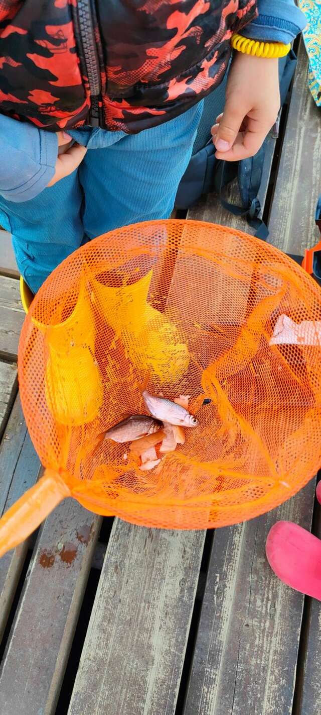 Гостиница Домики у Пляжа Осташков-177