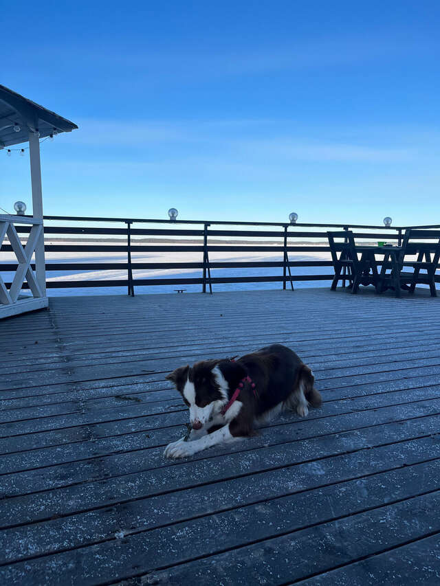 Гостиница Домики у Пляжа Осташков-70